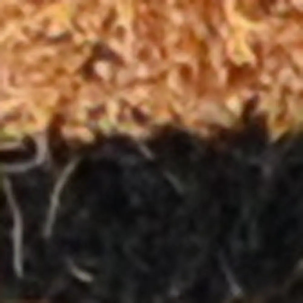 20" X 30" Brown and Black Coir Animal Print Outdoor Door Mat - NOBLE HOME INTERIORS