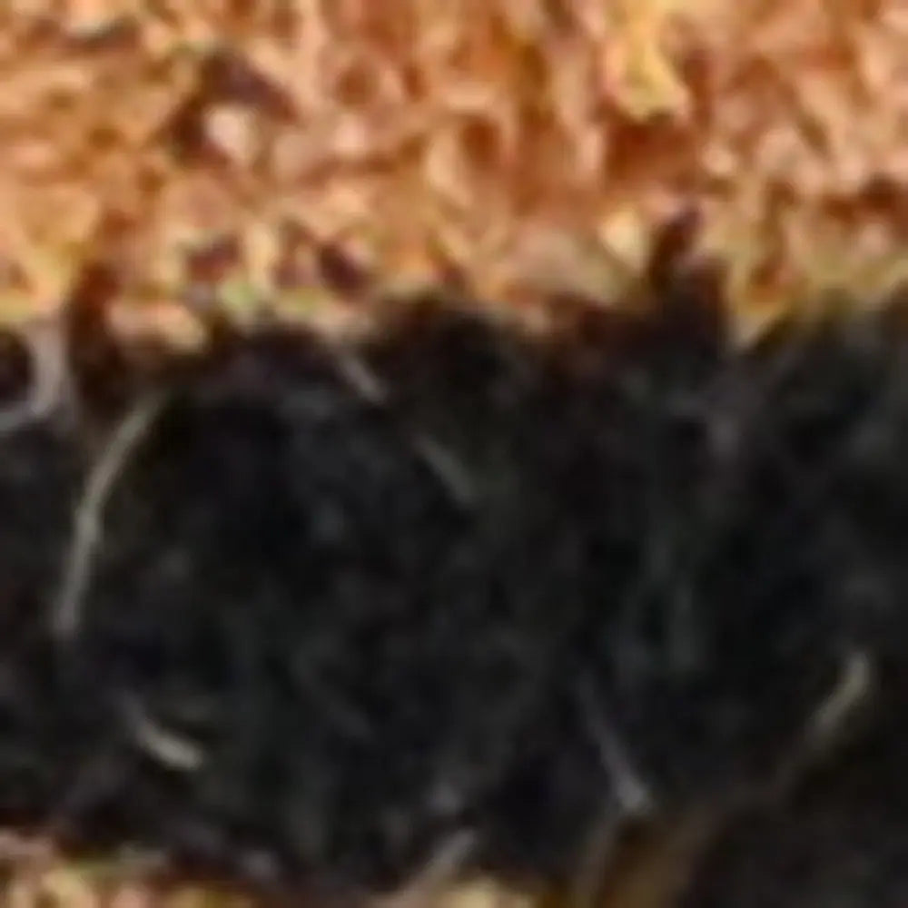 20" X 30" Brown and Black Coir Animal Print Outdoor Door Mat - NOBLE HOME INTERIORS