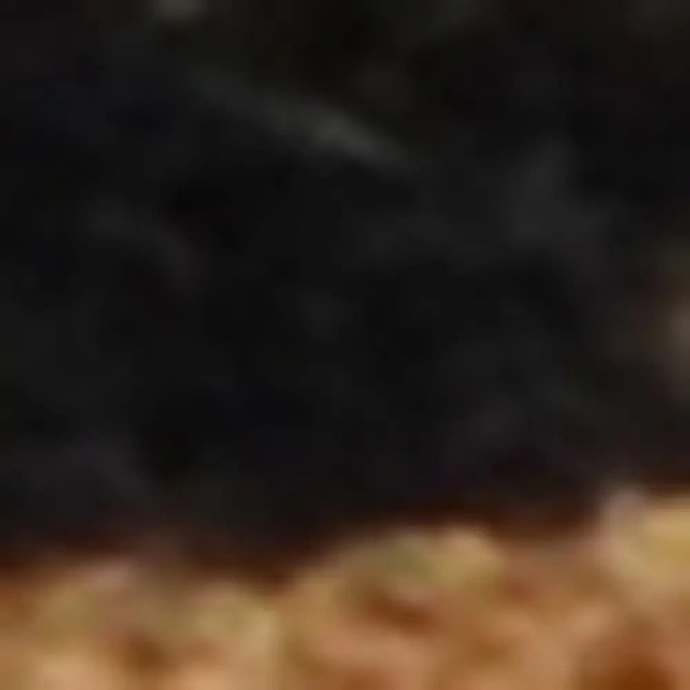 24" X 60" Brown and Black Coir Striped Outdoor Door Mat - NOBLE HOME INTERIORS