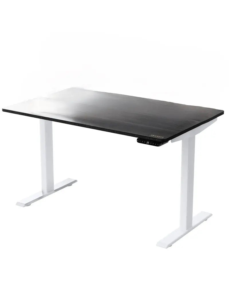 30" Adjustable Black and White Stainless Steel Standing Desk - NOBLE HOME INTERIORS