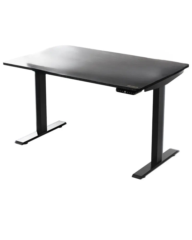 30" Adjustable Black Stainless Steel Computer Desk - NOBLE HOME INTERIORS