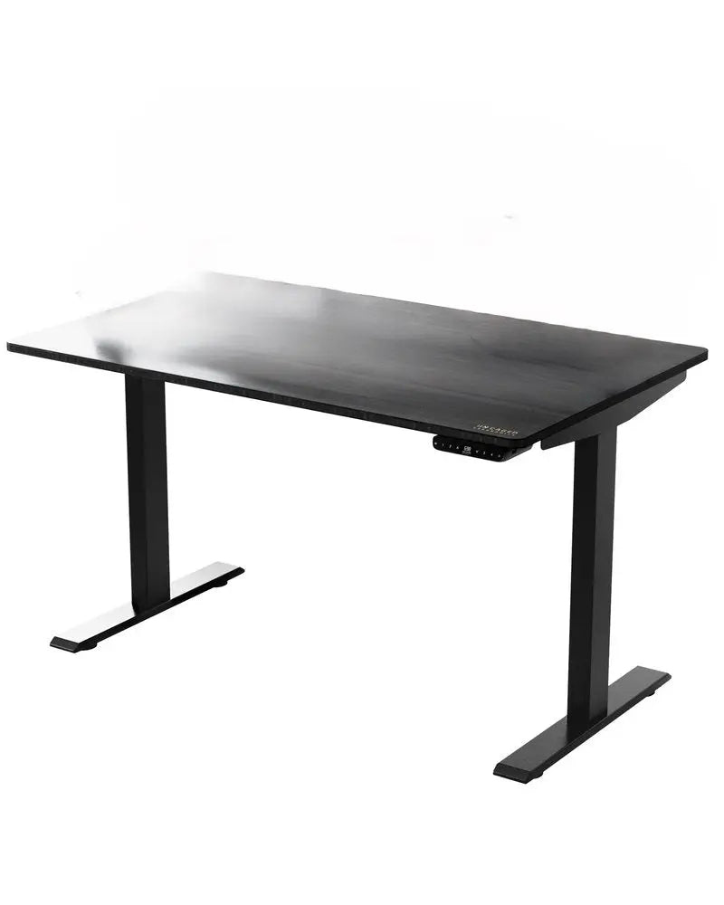 30" Adjustable Black Stainless Steel Computer Desk - NOBLE HOME INTERIORS