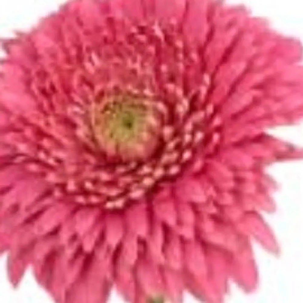 6" Clear Square Crystal Glass Table Vase HomeRoots