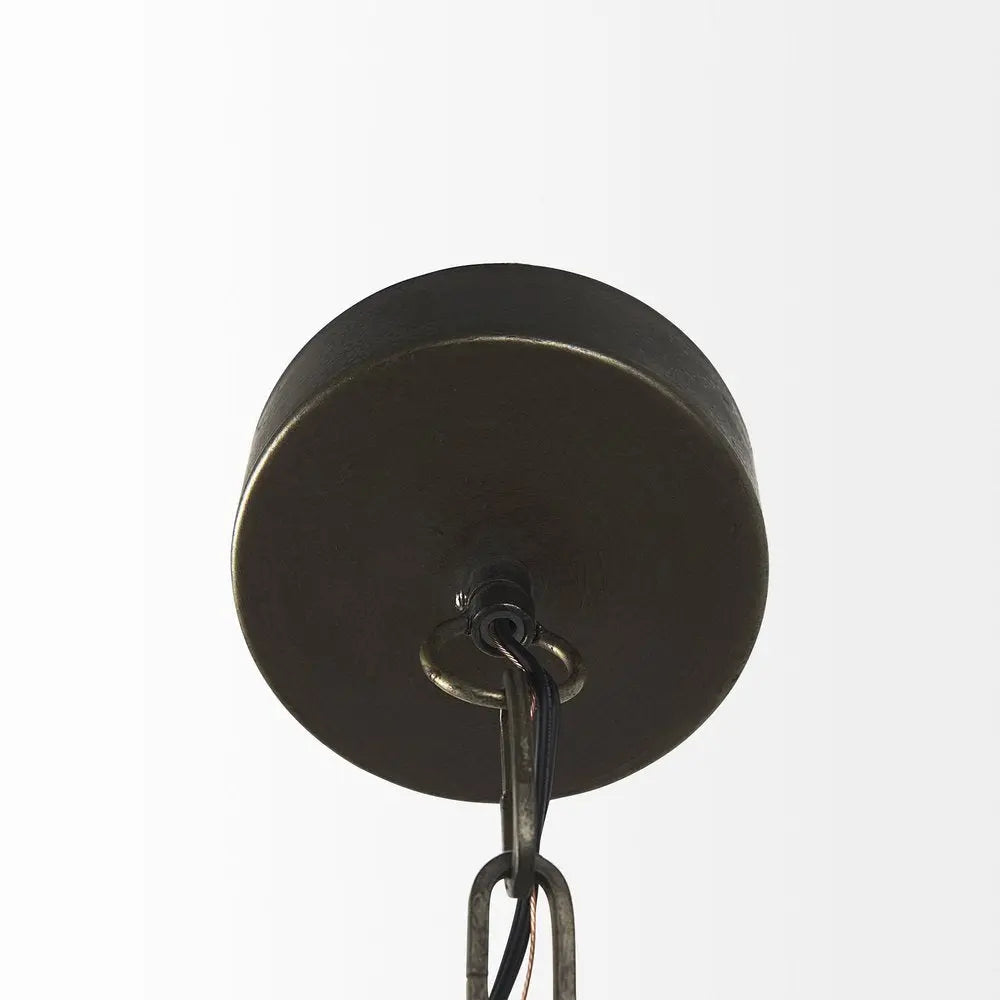 Industrial Caged Black Metal Hanging Light HomeRoots