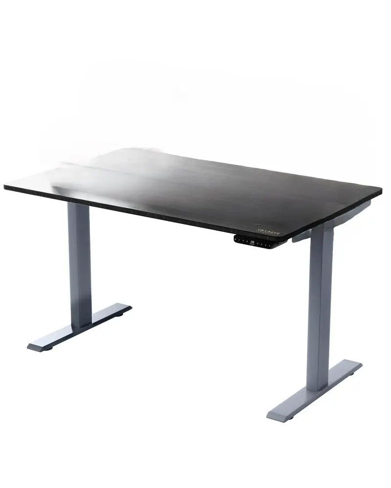 Premier 45" Gray Dual Motor Electric Office Adjustable Standing Desk HomeRoots