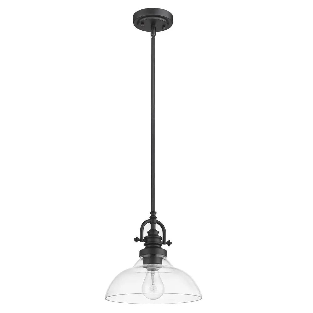 Matte Black Hanging Light with Glass Dome Shade HomeRoots