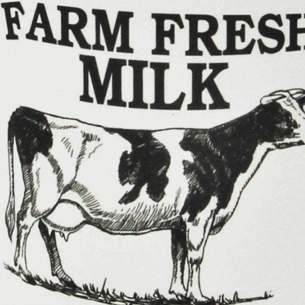 8" Black And White Metal Jug Vase HomeRoots